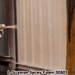 Power of L Guzman Spray Foam 30501: Your Insulation Solution