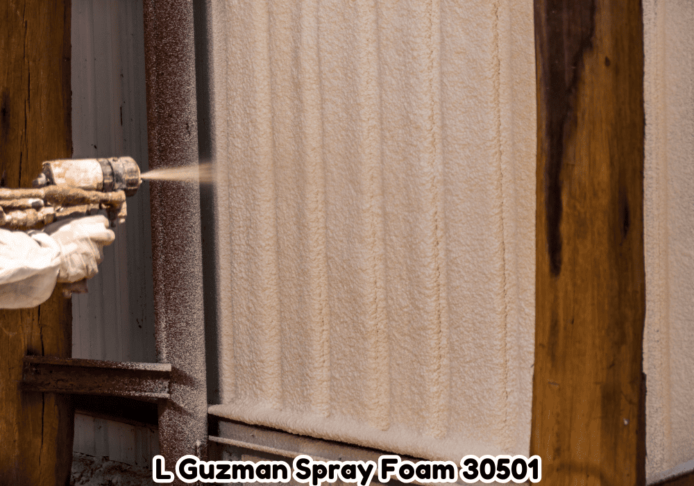 Power of L Guzman Spray Foam 30501: Your Insulation Solution