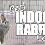 The Complete Guide to Rabbit Cages: Choosing the Perfect Home for Your Bunny