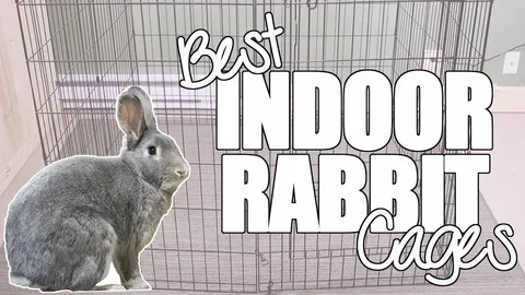 The Complete Guide to Rabbit Cages: Choosing the Perfect Home for Your Bunny